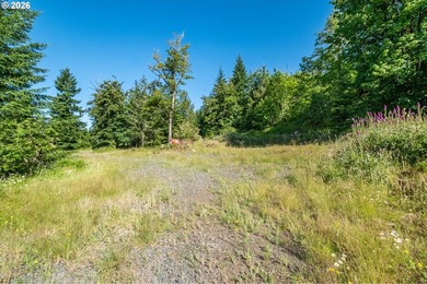 INCREDIBLY RARE FIND! Own a piece of paradise! Buildable 33 - photo 14