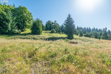INCREDIBLY RARE FIND! Own a piece of paradise! Buildable 33 - photo 15