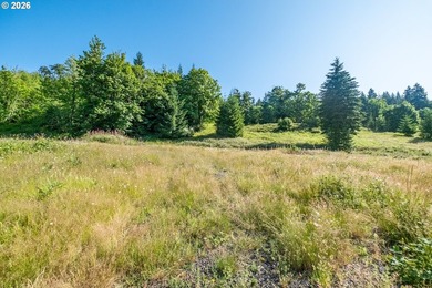 INCREDIBLY RARE FIND! Own a piece of paradise! Buildable 33 - photo 16