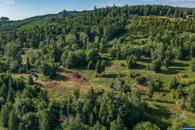 INCREDIBLY RARE FIND! Own a piece of paradise! Buildable 33 - photo 18
