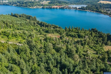 INCREDIBLY RARE FIND! Own a piece of paradise! Buildable 33 - photo 19