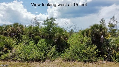 Rare opportunity to own a versatile homesite in the desirable - photo 4