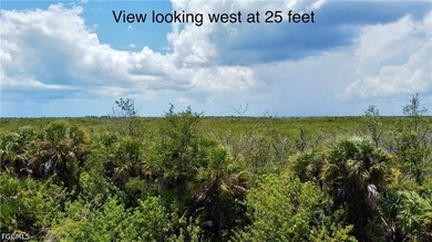 Rare opportunity to own a versatile homesite in the desirable - photo 6