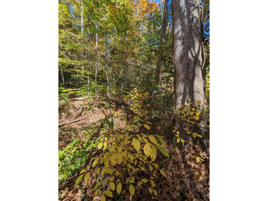 Kerr Lake - Buggs Island Lake Acreage For Sale in Clarksville Virginia