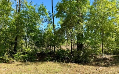 (private lake, pond, creek) Lot For Sale in Jennings Florida