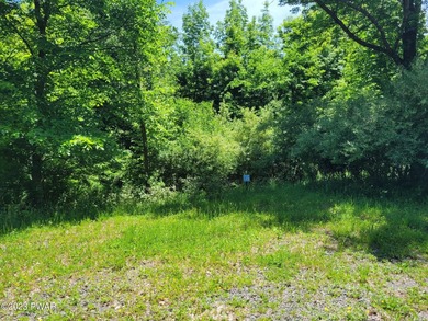 Cadjaw Pond Lot For Sale in Honesdale Pennsylvania