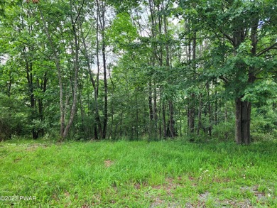 Cadjaw Pond Lot For Sale in Honesdale Pennsylvania