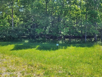 Cadjaw Pond Lot For Sale in Honesdale Pennsylvania