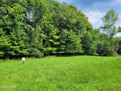 Cadjaw Pond Lot For Sale in Honesdale Pennsylvania