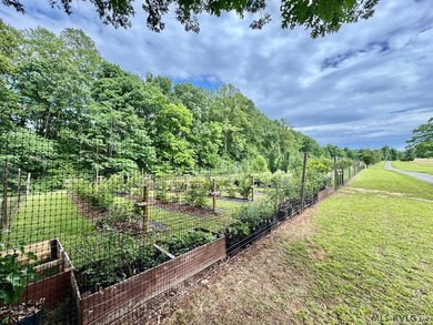Beautiful Private Point Lake Retreat on the Roanoke River - photo 42