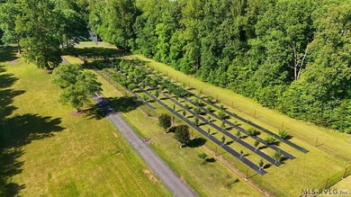 Beautiful Private Point Lake Retreat on the Roanoke River - photo 44