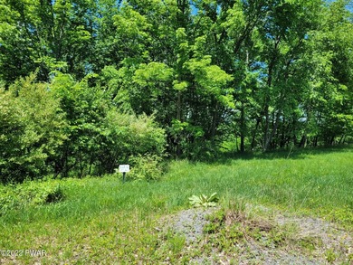 Cadjaw Pond Lot For Sale in Honesdale Pennsylvania