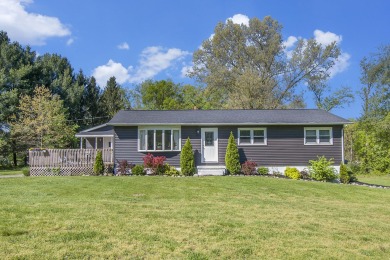 Lake Home For Sale in Bellevue, Michigan