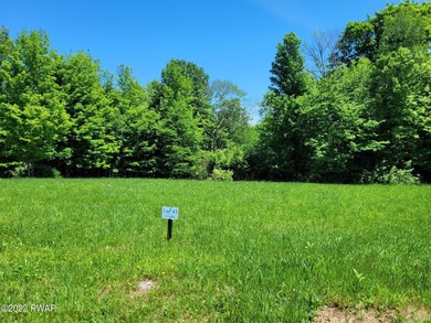 Cadjaw Pond Lot For Sale in Honesdale Pennsylvania