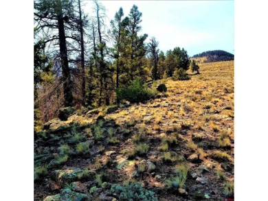 (private lake, pond, creek) Lot For Sale in Powderhorn Colorado
