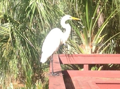 Enjoy the Callawassie Island Lifestyle, within the popular Club - photo 33