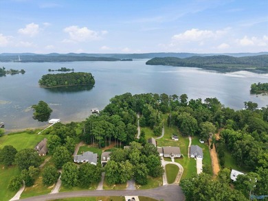 Rare opportunity to own a beautiful waterfront home on Lake - photo 1