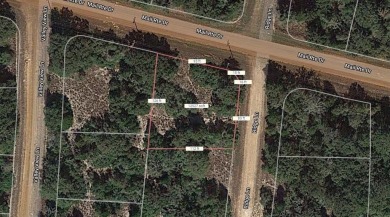 Lake Tonkawa Lot For Sale in Normangee Texas