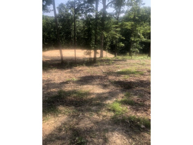 Lake Lot Sale Pending in Phil Campbell, Alabama