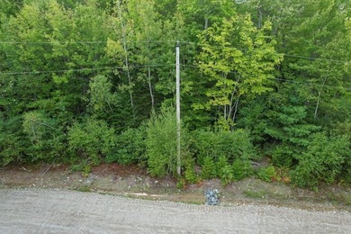 Beautiful Elevated Lot just outside the City of Ellsworth This 4 - photo 12