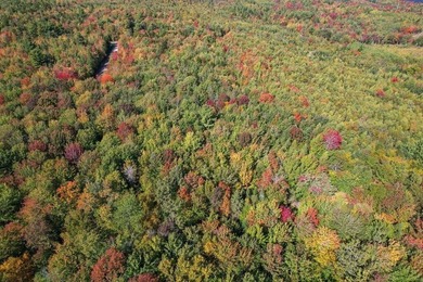 Beautiful Elevated Lot just outside the City of Ellsworth This 4 - photo 13
