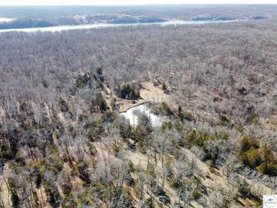 Terrific 119.5-acre m/l tract of land with tons of wildlife and - photo 13