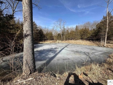 Terrific 119.5-acre m/l tract of land with tons of wildlife and - photo 16