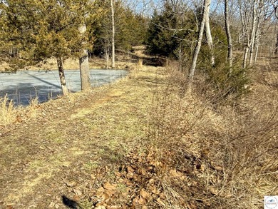 Terrific 119.5-acre m/l tract of land with tons of wildlife and - photo 17