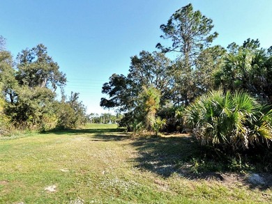 Build your Florida dream home on this residential lot in a - photo 1