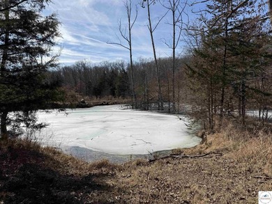 Terrific 119.5-acre m/l tract of land with tons of wildlife and - photo 21