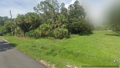 Build your Florida dream home on this residential lot in a - photo 2