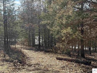 Terrific 119.5-acre m/l tract of land with tons of wildlife and - photo 22