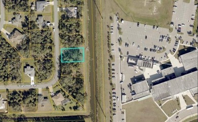 Build your Florida dream home on this residential lot in a - photo 3