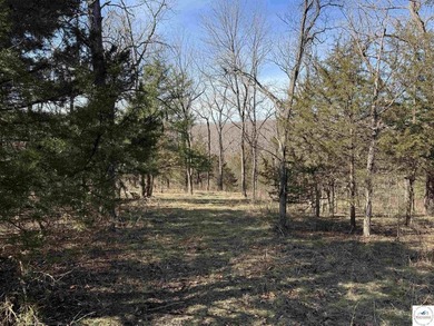 Terrific 119.5-acre m/l tract of land with tons of wildlife and - photo 24