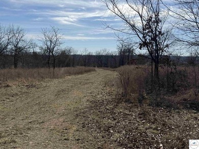 Terrific 119.5-acre m/l tract of land with tons of wildlife and - photo 27