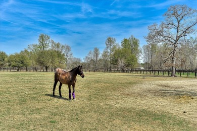A rare opportunity to own a turnkey 30-acre multi-discipline - photo 28