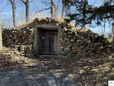 Terrific 119.5-acre m/l tract of land with tons of wildlife and - photo 34