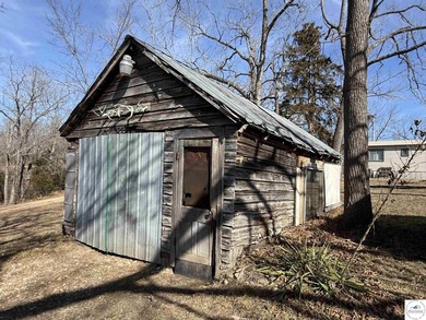 Terrific 119.5-acre m/l tract of land with tons of wildlife and - photo 37