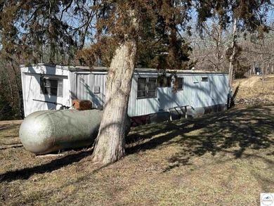 Terrific 119.5-acre m/l tract of land with tons of wildlife and - photo 39