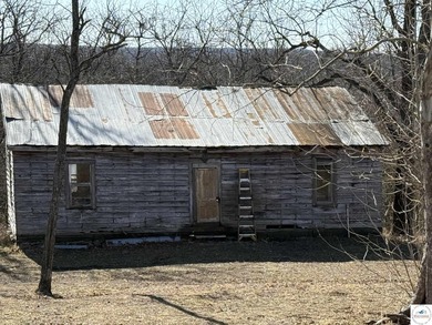 Terrific 119.5-acre m/l tract of land with tons of wildlife and - photo 42