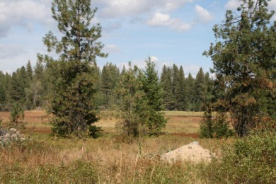 Little Sweden Lake Acreage For Sale in Valley Washington