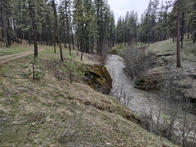 Spokane River - Lincoln County Acreage For Sale in Ford Washington