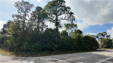 Lehigh Acres Area Lot For Sale in Lehigh Acres Florida