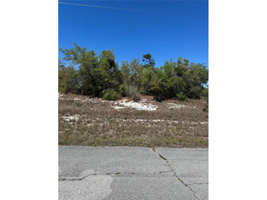 Lake Marion - Polk County Lot For Sale in Kissimmee Florida