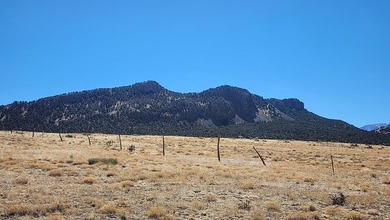 Up close views of the black hills with this 40 acre parcel in - photo 1