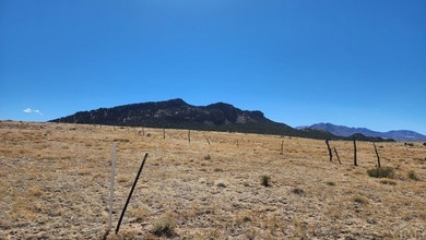 Up close views of the black hills with this 40 acre parcel in - photo 2
