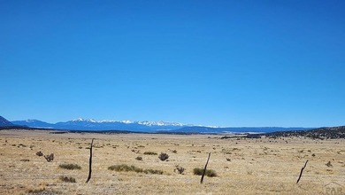 Up close views of the black hills with this 40 acre parcel in - photo 3