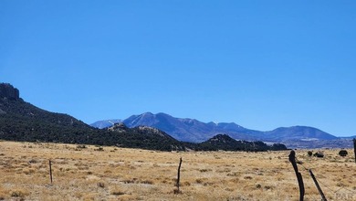 Up close views of the black hills with this 40 acre parcel in - photo 5