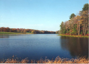 Meyer's Lakefront Parcel - Lake Lot For Sale in Bethel, New York
