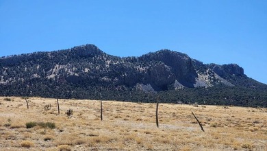Up close views of the black hills with this 40 acre parcel in - photo 6